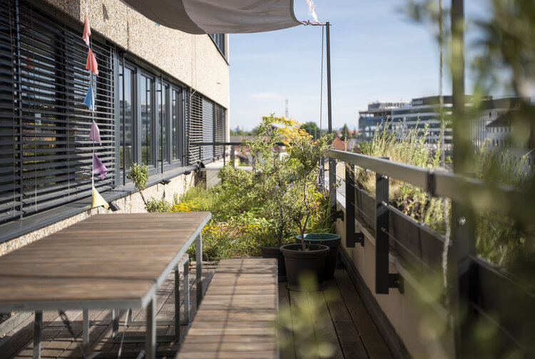 Team sisu GmbH Bild 1