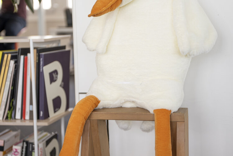 Team sisu GmbH Bild 4