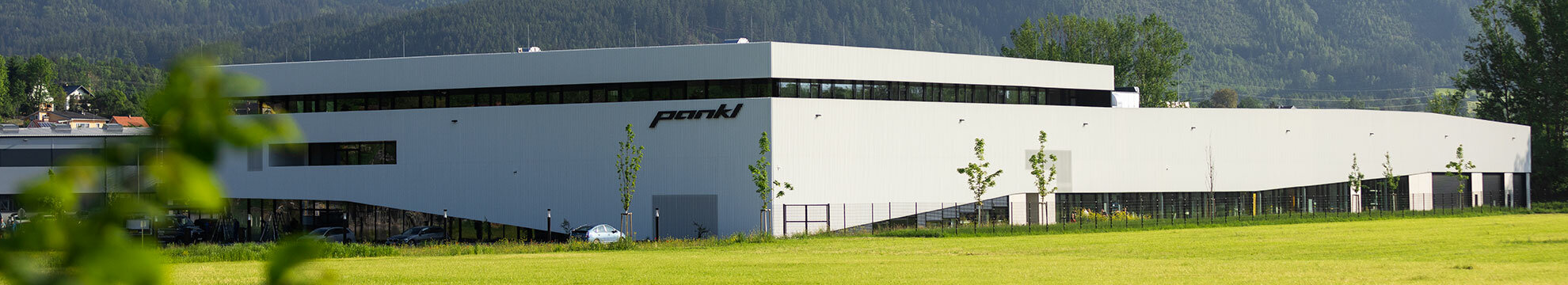 Pankl Racing Systems AG