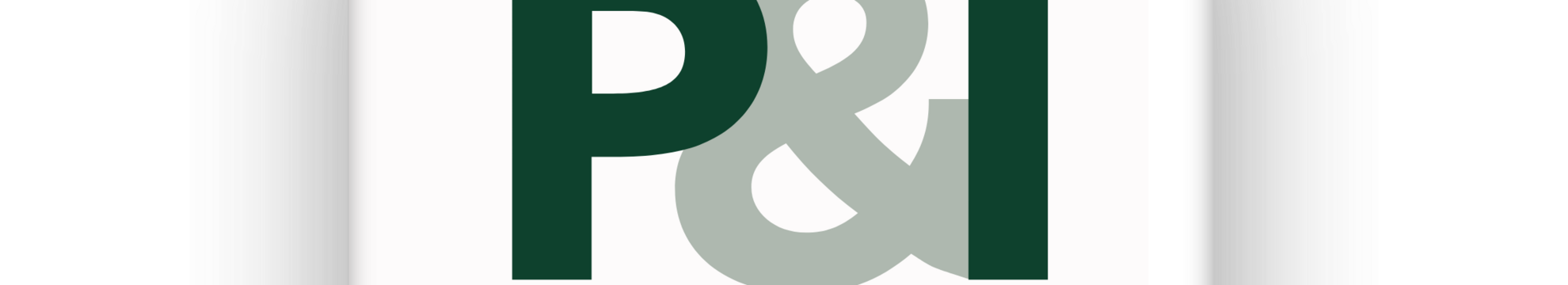 P&I Personal & Informatik GmbH