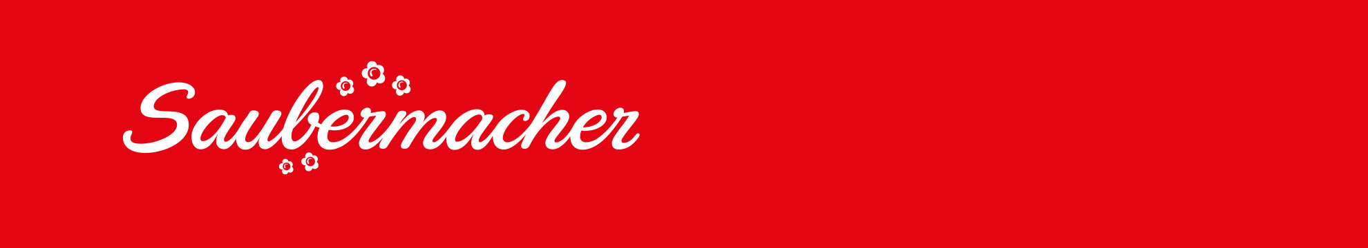 Saubermacher Dienstleistungs AG