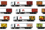 Müller Transporte GmbH