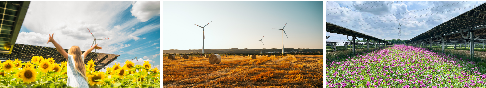 ENERGIEPARK Bruck/Leitha