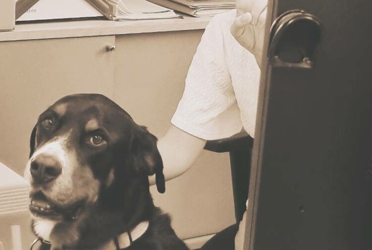 dataprotect schweiger.legal Rechtsanwälte OG Bild 8