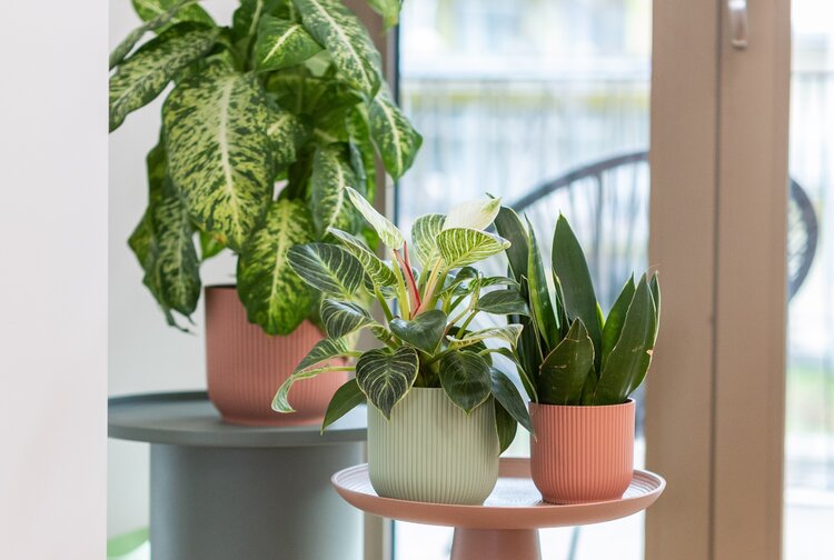 Gattringer Steuerberatung GmbH Bild 5