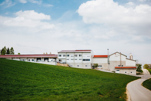 Amering Salzkammergut Eiprodukte GmbH