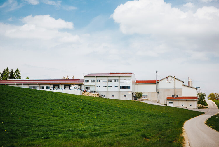 Amering Salzkammergut Eiprodukte GmbH Bild 1