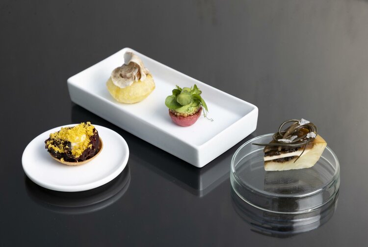 Hotel Schloss Mönchstein Docis GmbH & Co KG Bild 2