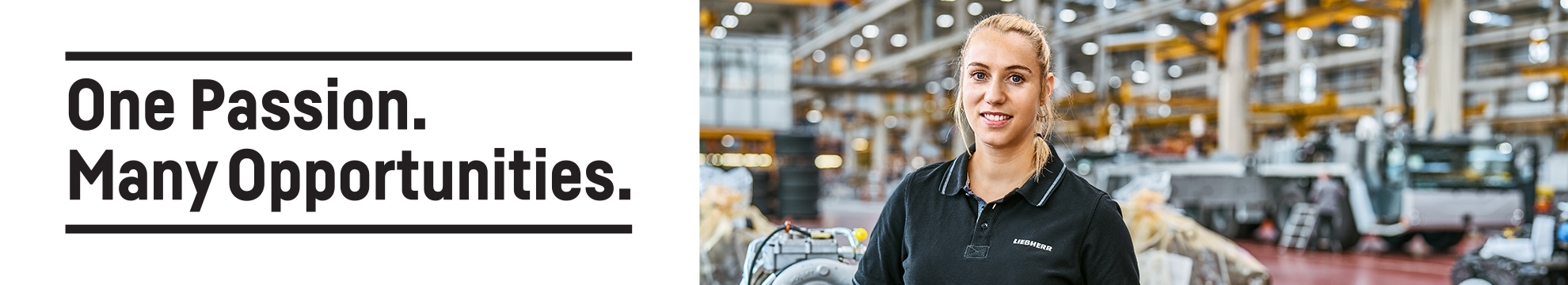 Firmengruppe Liebherr