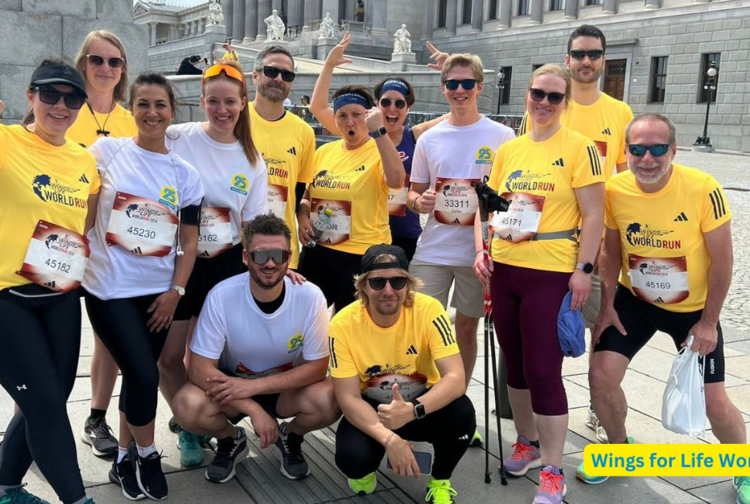 Mediashop GmbH Bild 4