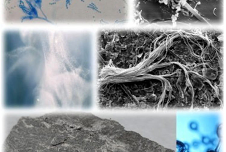 Hydrologische Untersuchungsstelle Salzburg GmbH Bild 4