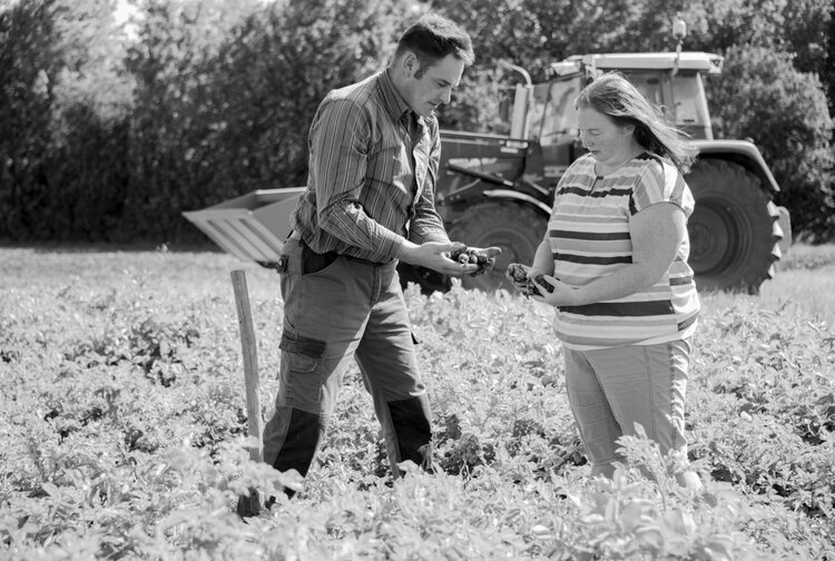 NÖ Landes-Landwirtschaftskammer Bild 2