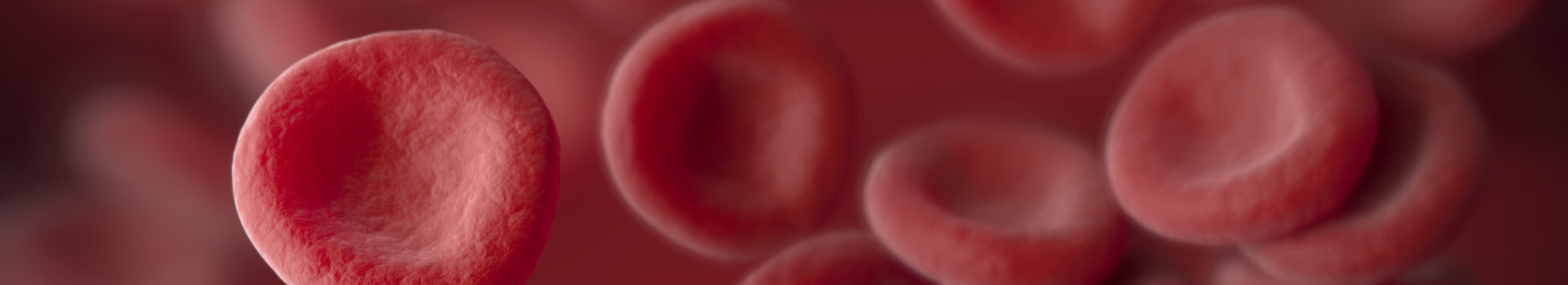 on point medicals GmbH