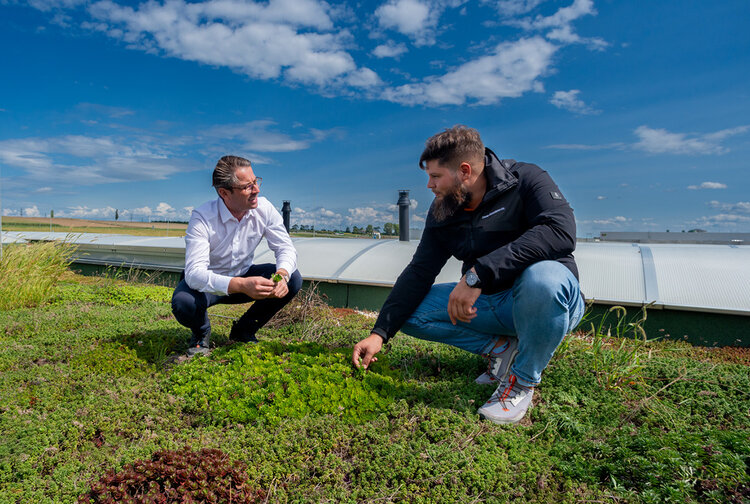 Bauder Ges.m.b.H. Bild 5