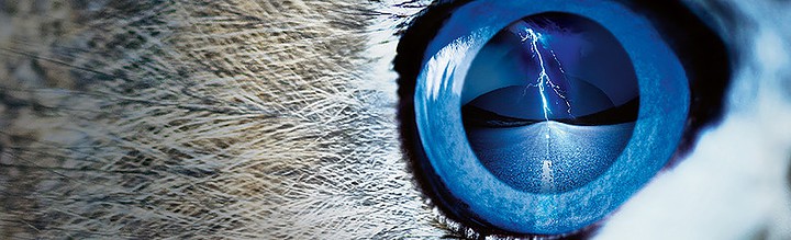 Titelbild der Firma ZKW Group GmbH