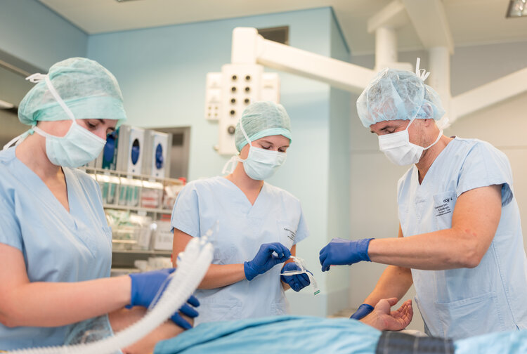 Oberösterreichische Gesundheitsholding GmbH Bild 1