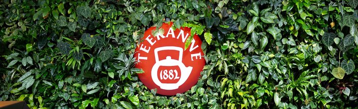 Titelbild der Firma TEEKANNE GmbH