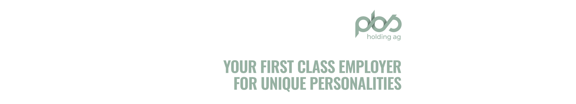 PBS Holding AG Gruppe