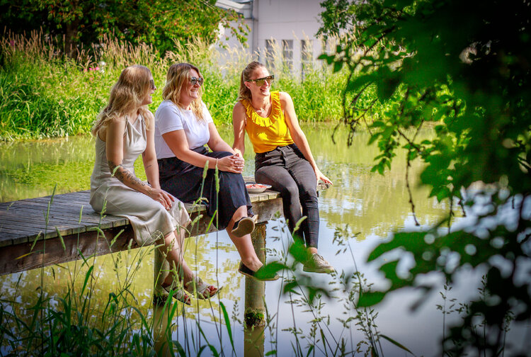 Prillinger Gesellschaft m.b.H Bild 6