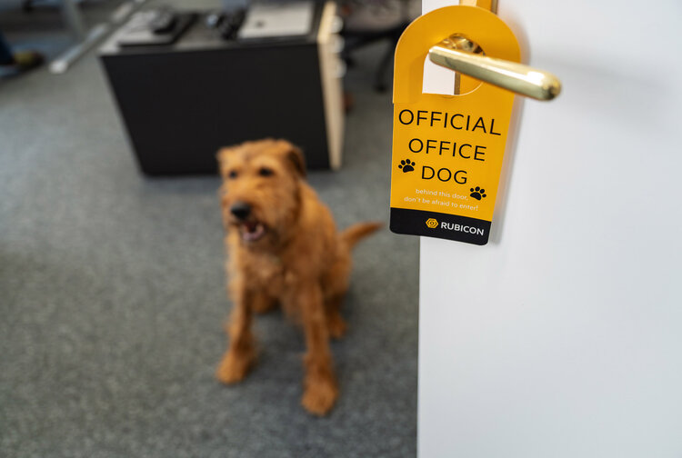 RUBICON IT GmbH Bild 8