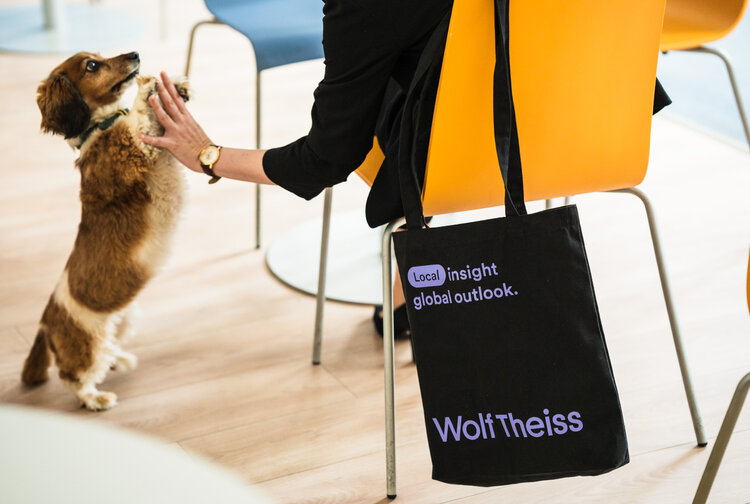 Wolf Theiss Rechtsanwälte GmbH & Co KG Bild 7
