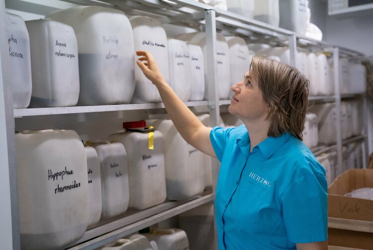 HERZOG.BAUM Samen u Pflanzen GmbH Bild 2