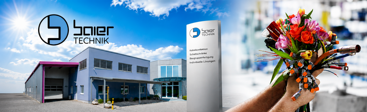 Titelbild der Firma Baier Technik GmbH & Co KG