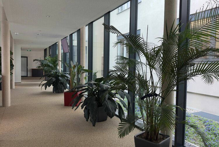 GENERICON PHARMA Gesellschaft m.b.H. Bild 6