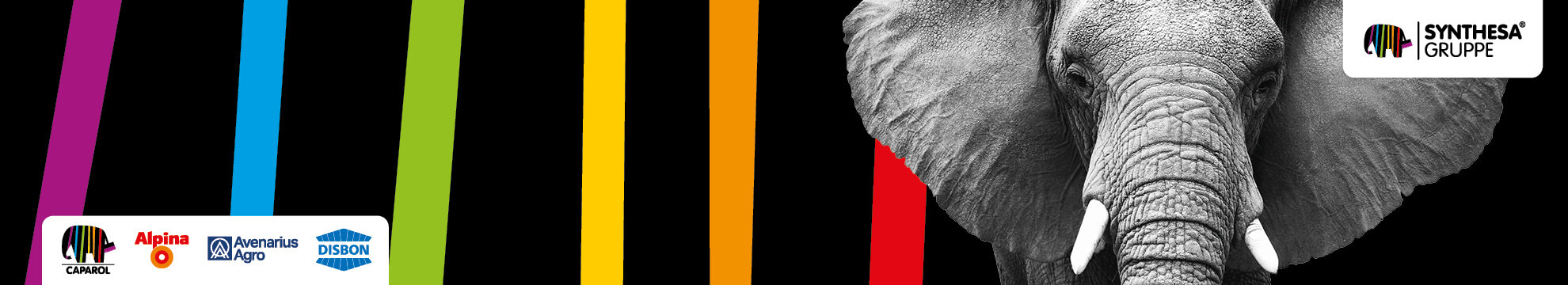 SYNTHESA Chemie Gesellschaft m.b.H.