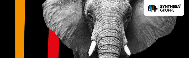 Titelbild der Firma SYNTHESA Chemie Gesellschaft m.b.H.