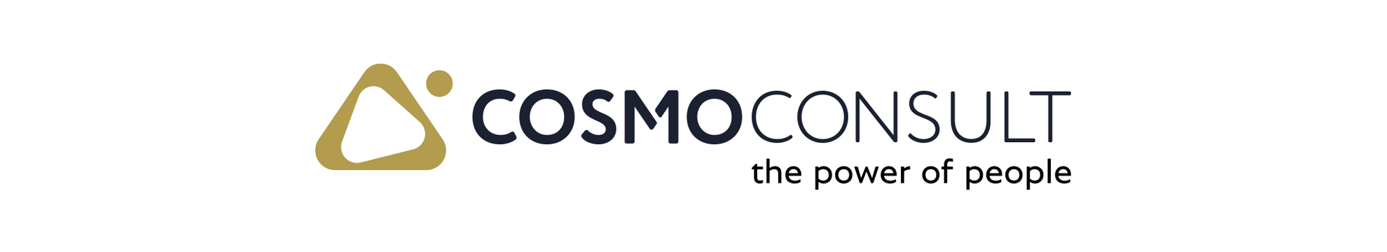 COSMO CONSULT