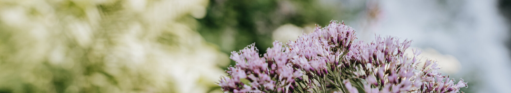 BANO Healthcare GmbH