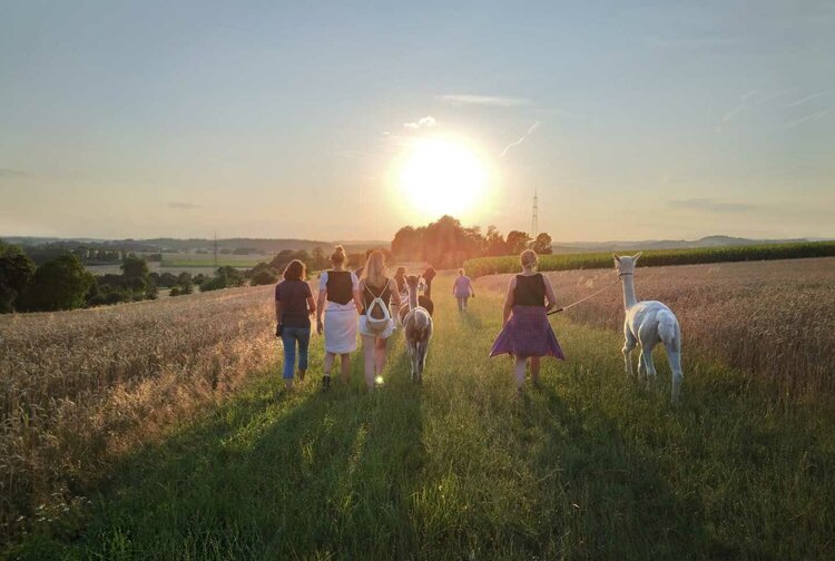 Isolena Naturfaservliese GmbH / Lehner Wool Bild 7