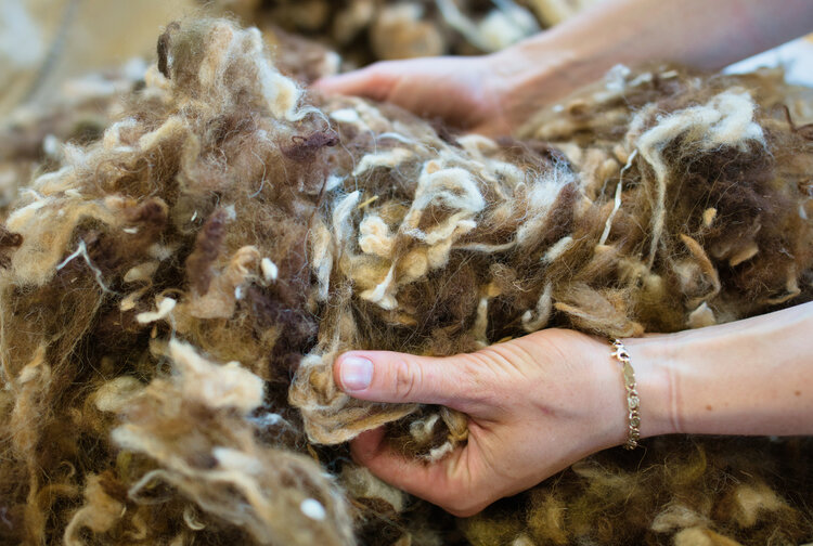 Isolena Naturfaservliese GmbH / Lehner Wool Bild 3