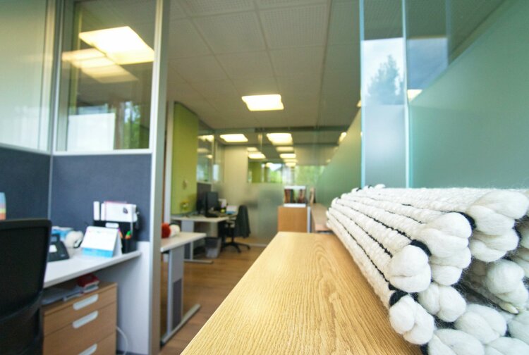 Isolena Naturfaservliese GmbH / Lehner Wool Bild 2