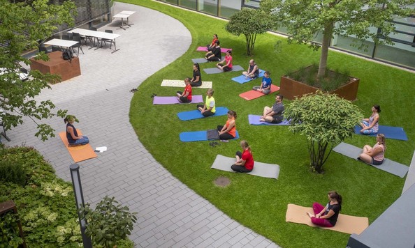 Yoga im Innenhof der Hargassner Energy World