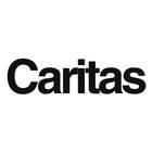 Caritas Institut für Betreuung und Pflege