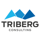 Triberg Consulting GmbH