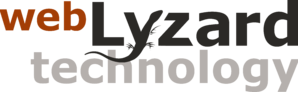 webLyzard technology gmbh