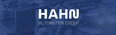 HAHN Automation Group GmbH Logo