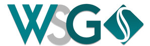 WSG Steuerberatungs OG