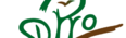 SDPro Soziale Dienstleistungs- und Produktions GmbH Logo
