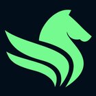Pegasus Solution Group AG