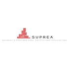 Logo der Firma Schmidt & Partner Accounting and Real Estate GmbH
