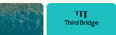Third Bridge Group Logo