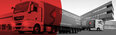 Internationale Spedition Schneckenreither Gesellschaft m.b.H. Logo