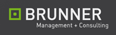 management consulting - Mag. Dr. johannes BRUNNER Logo