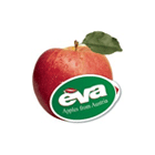 EVA Handels GmbH