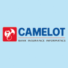 Camelot Bank Insurance Informatics
