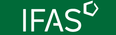 IFAS Personalmanagement GmbH Logo
